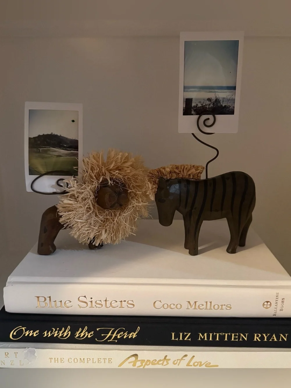 Zebra & Lion Photo/Postcard Holder Set